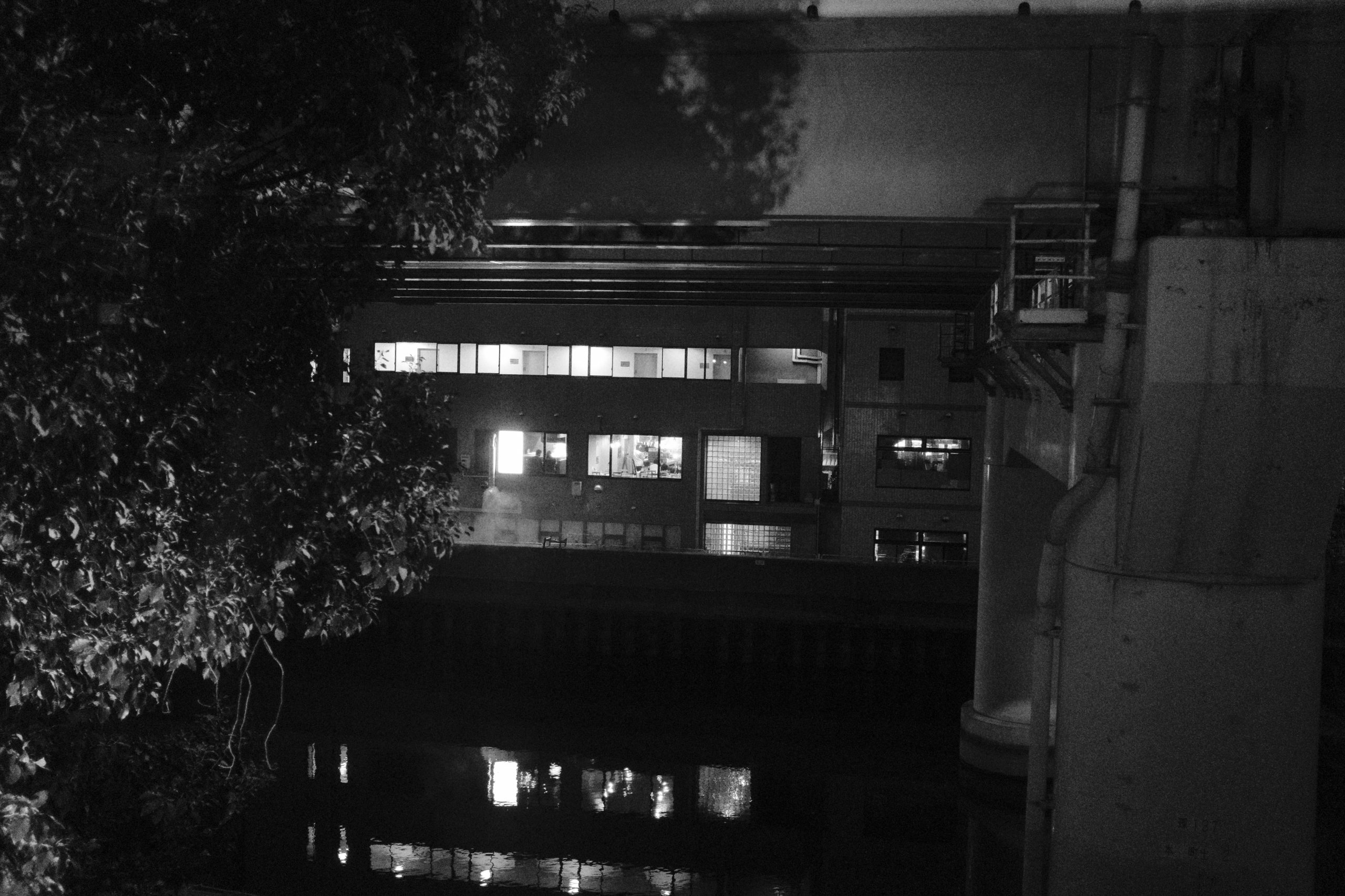 _DSF0381 _DSF0381