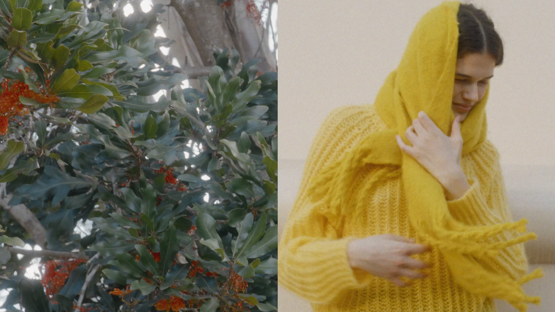 HUSH WINTER