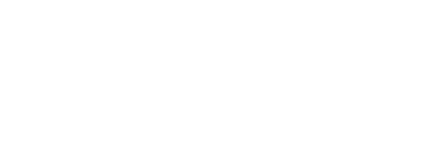 void_main_logo